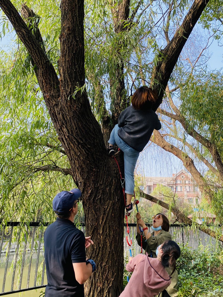 MsNursery's tweet photo. What a brilliant afternoon we had with our #parents as we explored what #outdoorlearning and #forestschool looks like @wissshanghai. #smalltools #treeclimbing #shelterbuilding and #riskyplay and it felt AMAZING! #earlyyears #nature https://t.co/98mwjv4DX7