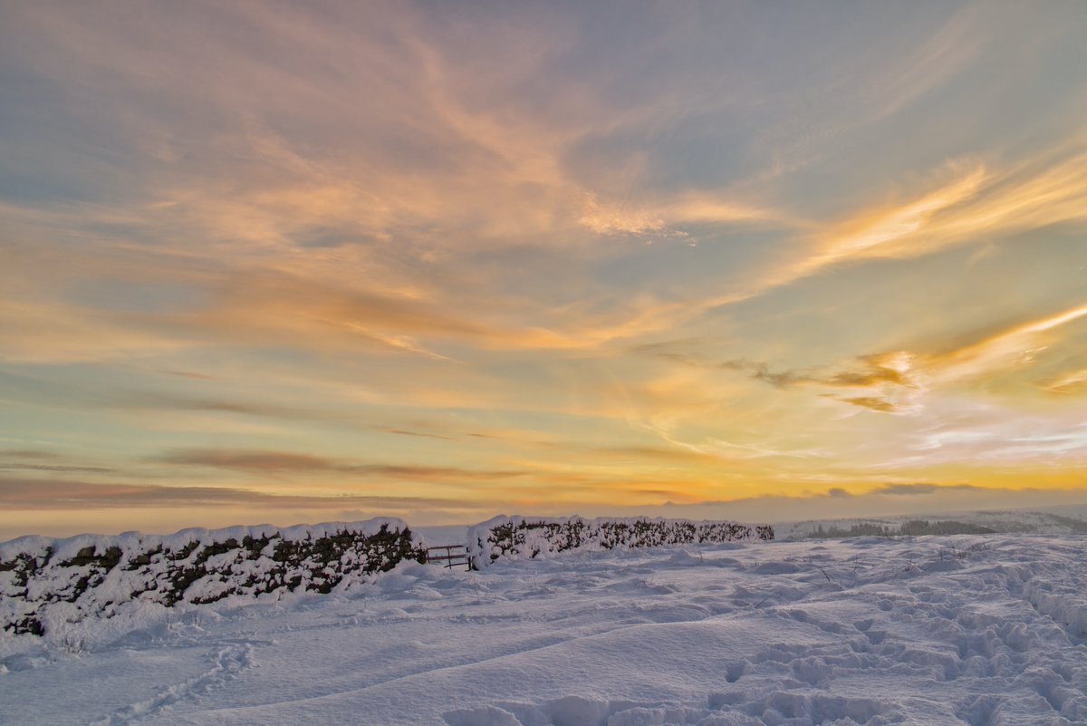 Oakwood Property Services tweet media