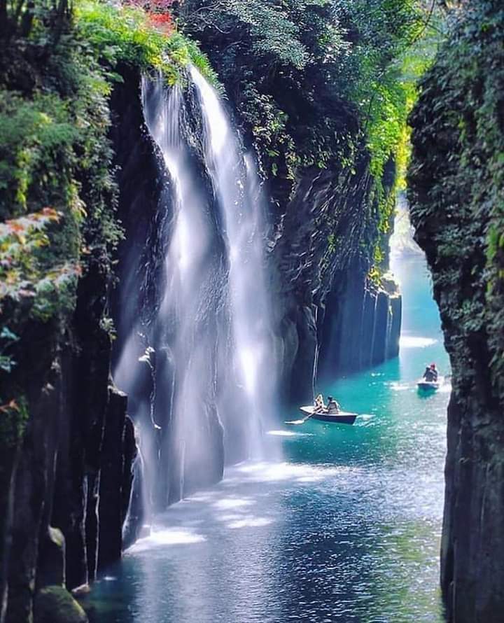 R_naturebeauty's tweet photo. Good afternoon friends...
#nature #NaturePhotography https://t.co/QUF1DMs4f5