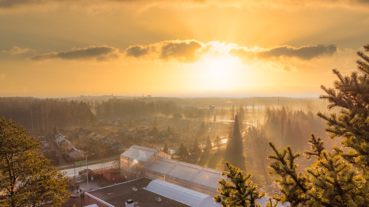 360panoraama's tweet photo. Usvaa Joensuussa 011121
#mist #usvaa #joensuu #linnunlahti https://t.co/uEHG1Ijgpx