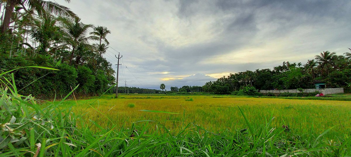 PcPrasoon's tweet photo. #Keralapiravi2021  
#keralam #malayalam #India #Asia https://t.co/uKsoAQCsU1