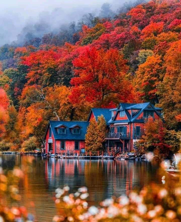 VieNatureSavoir's tweet photo. Happy November 
🍁🍁🧡🍁🍁
#NaturePhotography #Nature https://t.co/Zg5R9GKmOC
