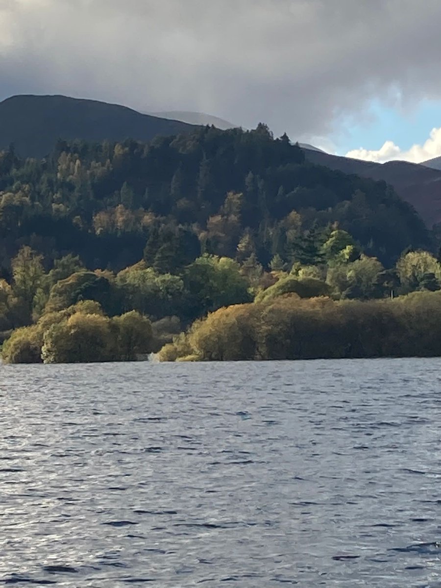 ConistonStone's tweet photo. A very full Derwent water this weekend.
#lakedisrict #flooding #derwent #Cumbria
https://t.co/rmQavVYpuJ https://t.co/FcUU0PV0Pz