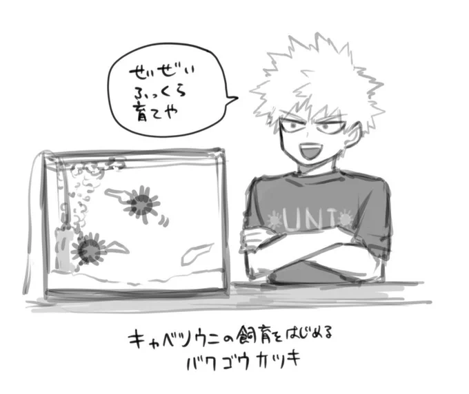 キャベツウニ育てる💥チャン 