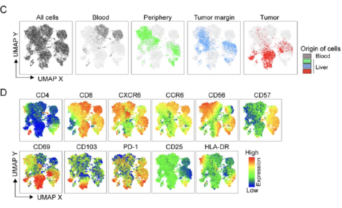 New paper out from us in <a href="/HEP_Journal/">HEPATOLOGY Journal</a> on #MAITcells predicting outcome in #CCA, a primary liver tumor with dismal prognosis. Thanks Christine, <a href="/IF91/">Dr Iva Filipovic</a> and many others contributing. <a href="/karolinskainst/">Karolinska Institutet</a> <a href="/CIM_Sweden/">Center for Infectious Medicine</a> Paper: bit.ly/3BzivkP