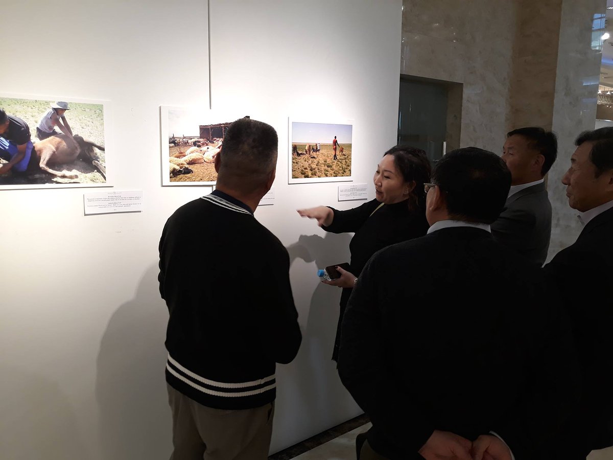 andrei__marin's tweet photo. 3 yrs since my last visit to #Mongolia and the #photovoice driven policy dialogue between herders and policy- and decision-makers. Despite success, hindsight shows other #invitedspaces and #claimedspaces are needed to get local priorities heeded and #knowledgecoproduction. https://t.co/0Hm4R1oCiE