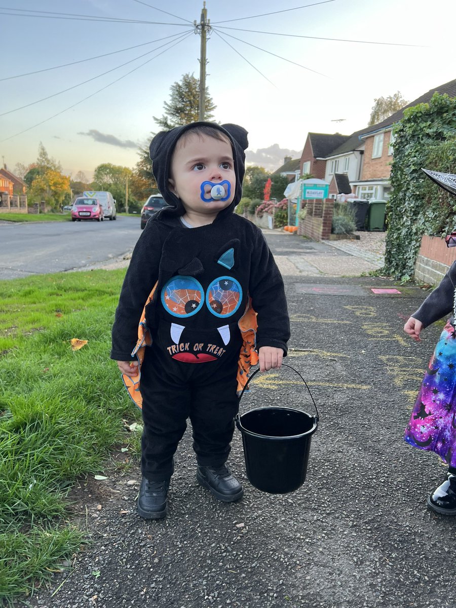 Miss_Orford7's tweet photo. The cutest bat you ever did see 🦇 https://t.co/AQTFp8nz1Y