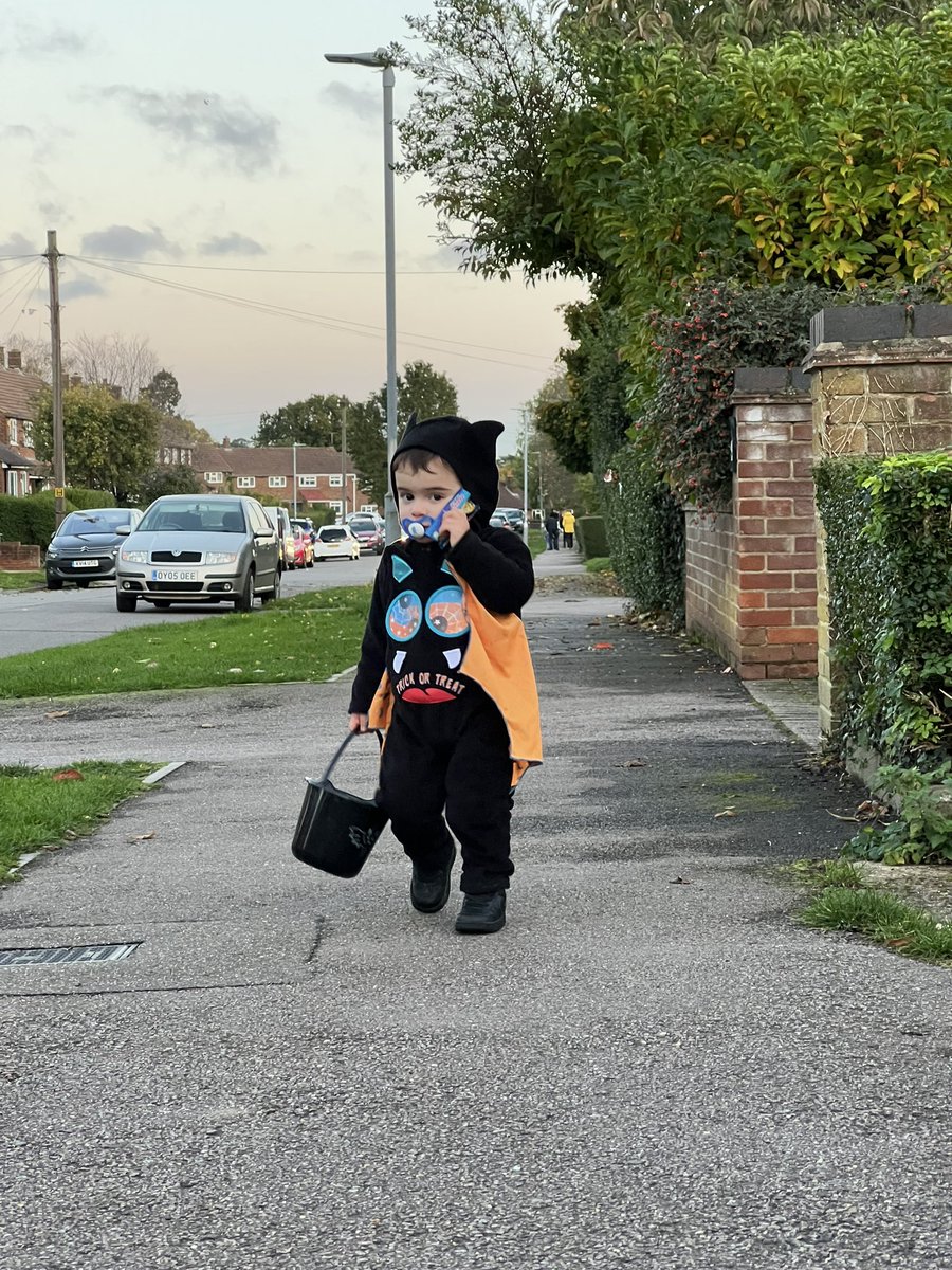 Miss_Orford7's tweet photo. The cutest bat you ever did see 🦇 https://t.co/AQTFp8nz1Y