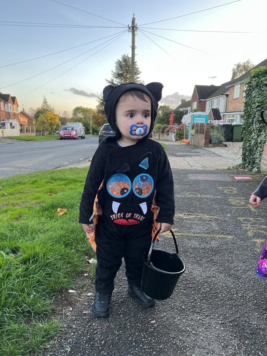 The cutest bat you ever did see 🦇