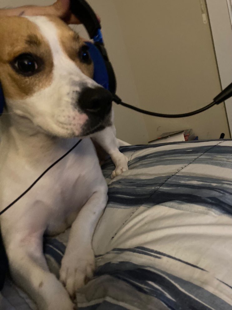 yocdubb's tweet image. 👍