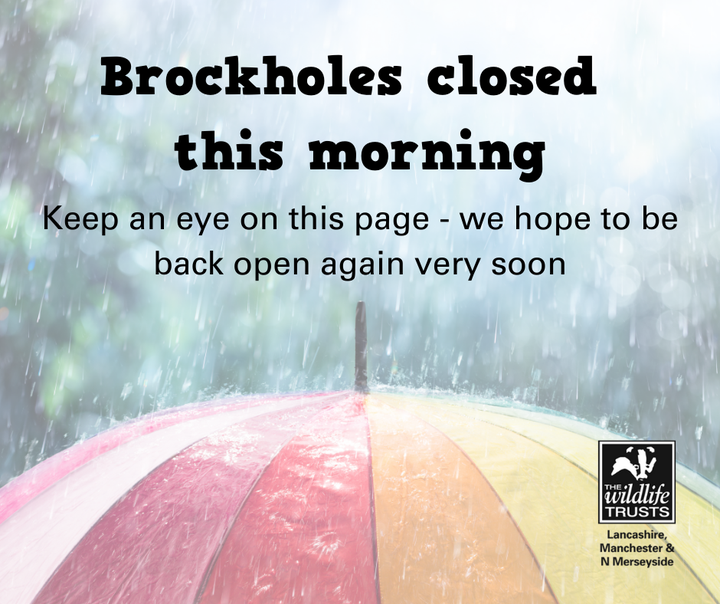 💧 Closed this morning 💧 

We are taking the precaution to close Brockholes this morning until the river levels lower, ensuring the access road is completely safe for visitors.

Keep an eye on our website - we hope to be open again very soon! We apologise for any inconvenience.