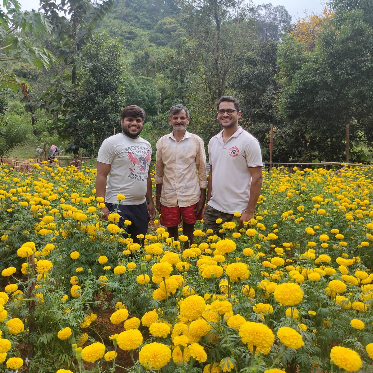 KelkarOnkar's tweet photo. आरंभ है, प्रचंड है 🌱🌻
#marigold #marigoldseedlings #marigoldflower #marigolddecoration #airavatnursery #Airavat #goan #goa #goanfarmer #shetkari #flowers #onkarkelkar #happiness #farming #passion #love #india #goem #गोवा #youth #youthsinagriculture #yuva #energy https://t.co/kSUW0NRiGd