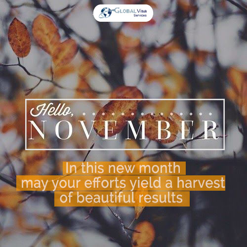 GlobalvisaK's tweet photo. Hey, Hello & Welcome November
Happy new month and may november reward your effort
with a harvest of beautiful results
#November2021 #november #novemberwish #HeyNovember #hellonovember #welcomenovember #newmonth #newweek #freshstart https://t.co/L0oiqCC5XR