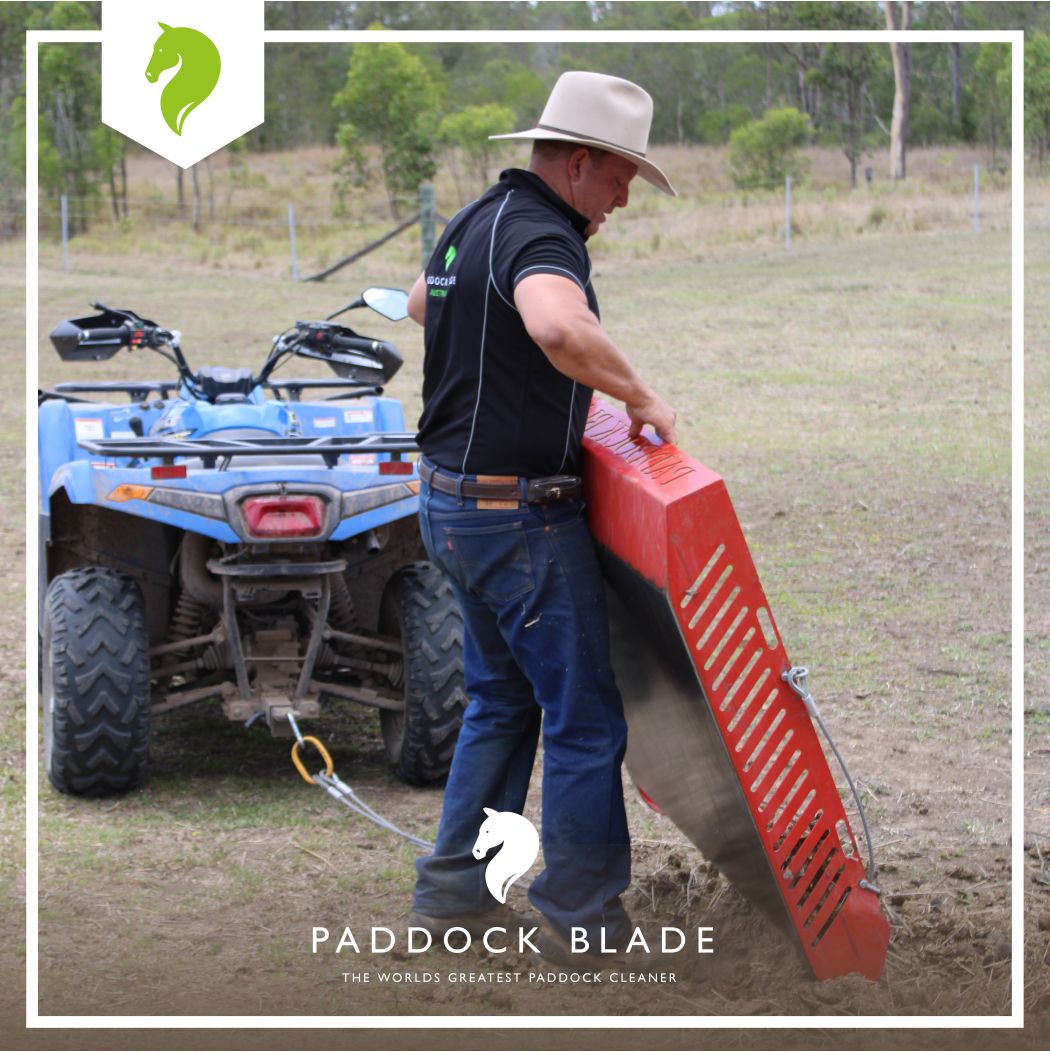 PaddockBlade's tweet image. Paddock blade is designed to be easy to use!

Making your life easier ✅
saving you money 💰
Giving you back your valuable time ⏱!

👆Visit our shop &amp;amp; get your own Paddock Blade. Link in bio!👆
.
.
.
#paddockblade #paddockbladeau #paddockcleaner #horselife