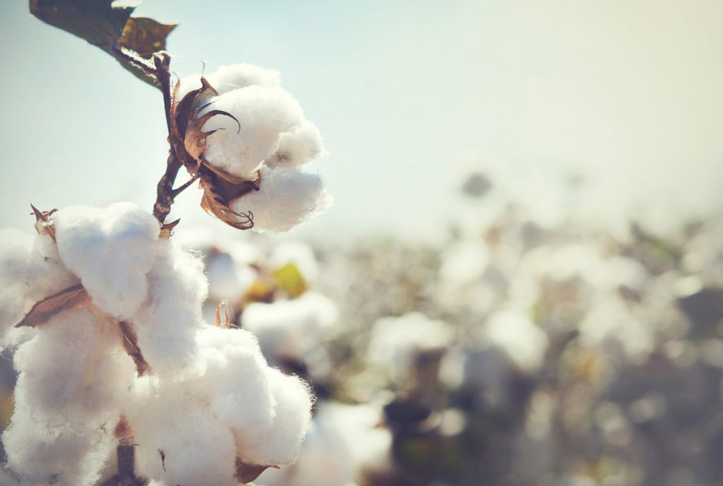 EndOvershoot's tweet photo. 👗 As @COP26 begins and #100DaysofPossibility comes to a close, let's take a look back at a few solutions from our Possibility Pioneers. #Sustainable #fashion brand @hessnatur's use of organic cotton shows that the fashion industry can #MoveTheDate. https://t.co/dUy2Pvn458 https://t.co/1emNDODgLj