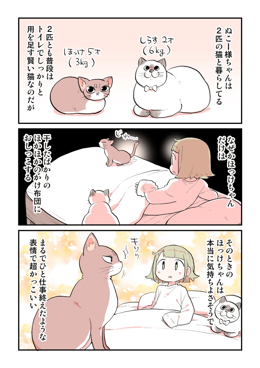 そういう解決方法もあると知った日
#マナーウェアねこ用 #マナーウェア #PR

https://t.co/ODRrg7kCbW 