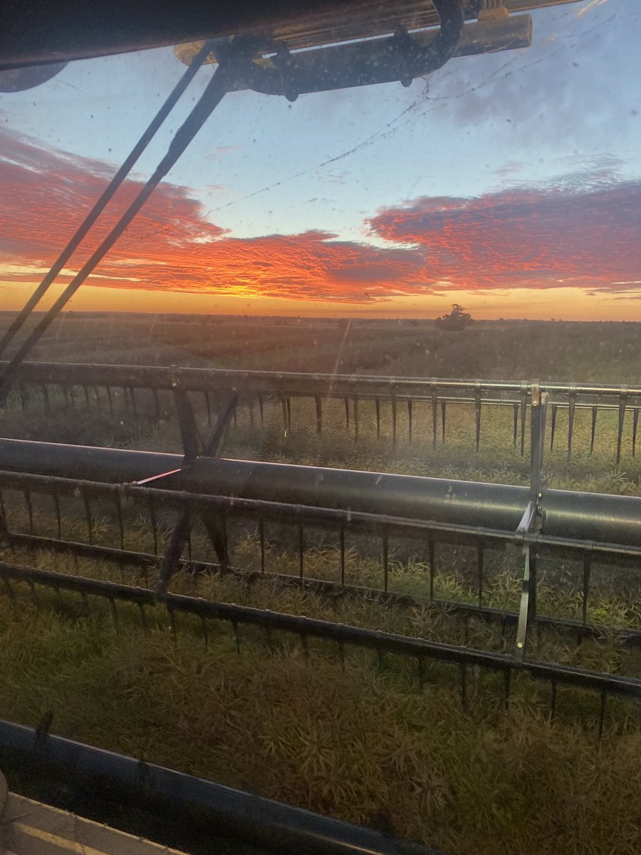 luke_trevaskis's tweet photo. Lovely evening for it #44y90 https://t.co/IVFUjBsDRi
