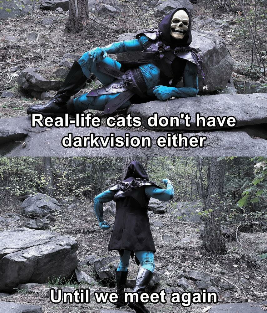 I will, however, concede that the have low-light vision. 🧙🏻‍♂️⚔️🐉 from:  YDAQ #dnd #rpg #dndcharacter #character #criticalrole #meme #barbarian