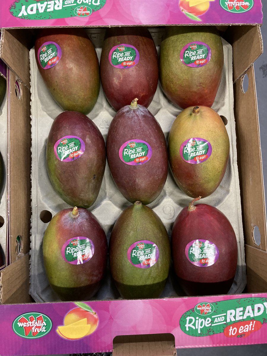 Westfalia_GT's tweet photo. Fresh arrival of Brazilian Palmer🥭for our R&R Mango line
📞01322 425555
📧marketsales@greencell.com
#mango #brazil #palmer #ripeandready https://t.co/A8pLJpPCU6