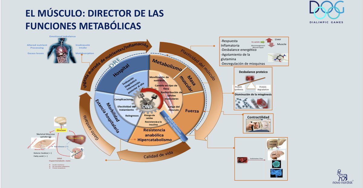 <a href="/DiegoBellido2/">Diego Bellido</a> <a href="/dialimpic/">DialimpicGames</a> <a href="/ana_apiecar/">Ana Piera #JuntosEsMasFacil🤝🤝🤝 #StopInercia🛑</a> <a href="/CarreteroJuani/">Juani Carretero Gomez</a> <a href="/Morfofuncional/">Valoración morfofuncional</a> <a href="/jgarciaalmeida/">JoseM Garcia Almeida</a> Ninguna consulta de diabetes, obesidad y nutrición será de excelencia sin <a href="/Morfofuncional/">Valoración morfofuncional</a> el futuro es ya presente 💪🏼💪🏼💪🏼 <a href="/jgarciaalmeida/">JoseM Garcia Almeida</a> <a href="/javierbutra/">🟡 J. Butragueño, PhD</a> <a href="/dialimpic/">DialimpicGames</a> <a href="/cristinatejerap/">Cristina Tejera</a> @DiabesityVithas