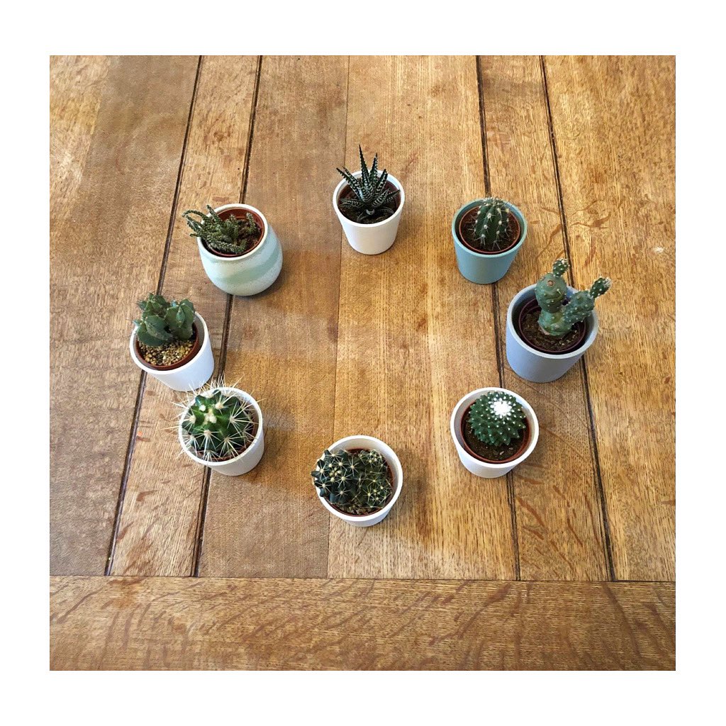 At #Birkbeck we are offering an online Anxiety Management Group on Wednesdays 3-4.30pm for six weeks from 10th Nov.
 
Apply  via counselling-services@bbk.ac.uk  with full name, student nr and gender. “Anxiety Group” in the subject. The deadline to apply is TODAY, 1st Nov.