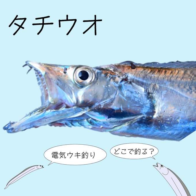 タチウオのtwitterイラスト検索結果