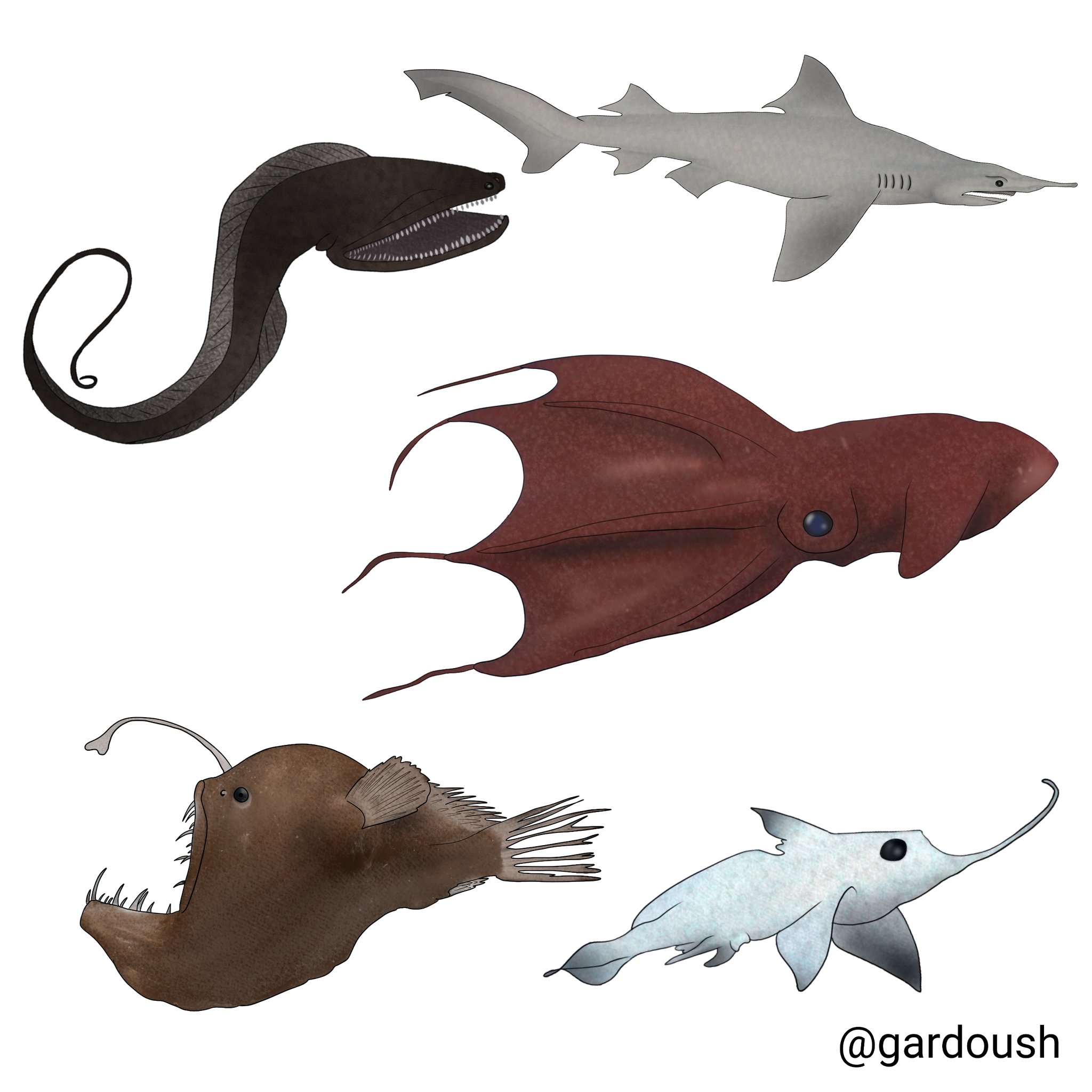 Gardoush 🦁🪼 on X: "🎨 Pour terminer Halloween 🎃 : voici quelques  créatures des grandes profondeurs. Le requin lutin, la chimère, le  grandgousier pélican, la baudroie abyssale et le vampire des abysses.