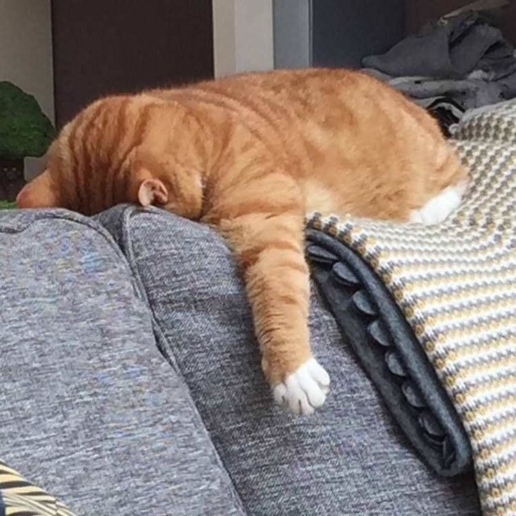 eljmoretti's tweet photo. Mood 👐 #lockdownn https://t.co/60fDfOhSmf