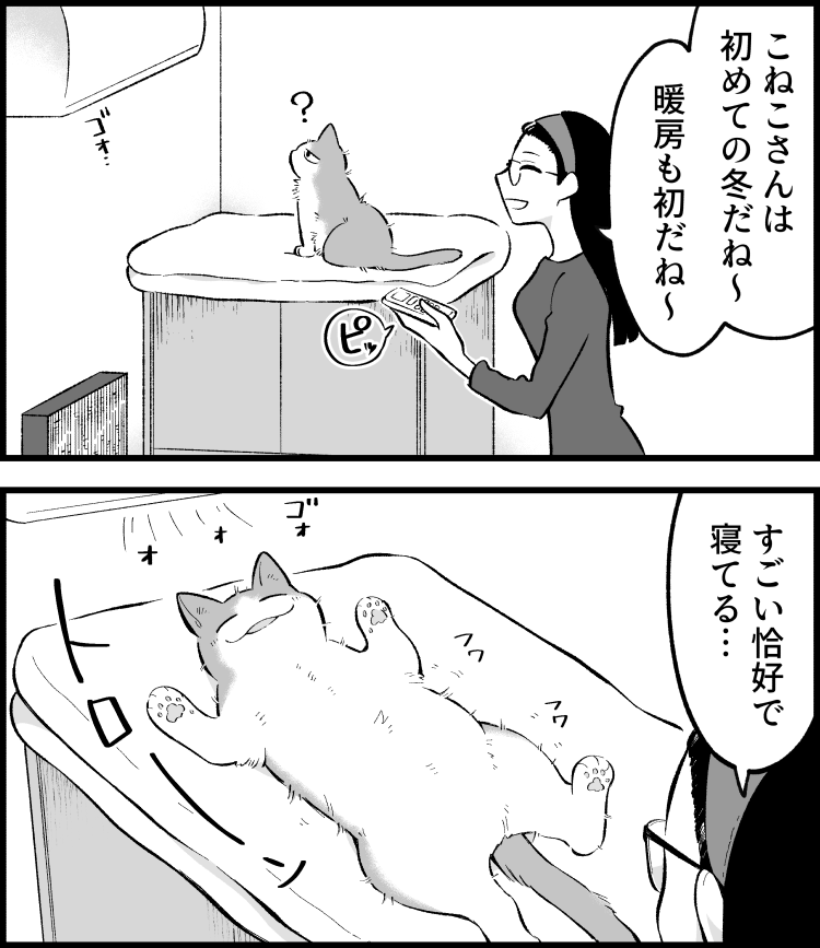 野生が失われた。
--
ねこさんが聞いてくれない(清水めりぃ @zatta_shimizu )毎週月曜日更新。 #ヤメコミ #猫のいる暮らし