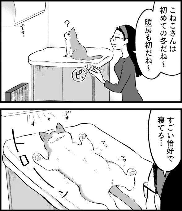 野生が失われた。
--
ねこさんが聞いてくれない(清水めりぃ @zatta_shimizu )毎週月曜日更新。 #ヤメコミ #猫のいる暮らし 