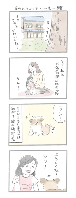 #犬の日 に送る、あるおいぬのお話 1/3 
