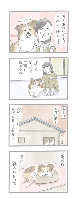 #犬の日 に送る、あるおいぬのお話 2/3 