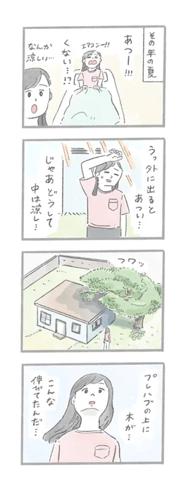 #犬の日 に送る、あるおいぬのお話 3/3 