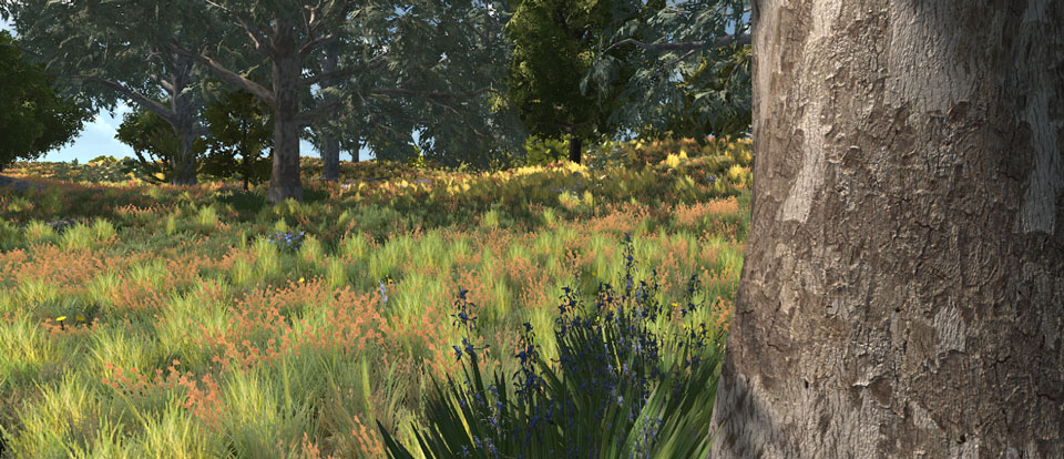 Immersive Landscapes: Modelling Ecosystem Reference Conditions in Virtual Reality
#openaccess doi.org/10.1007/s10980…
Interactive 360° video: youtu.be/XhZ2Nr4wI7Y