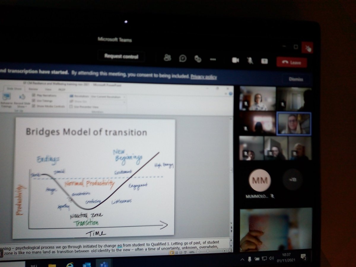 AHP Preceptees exploring Bridges model of transition, supporting the journey from student to professional.