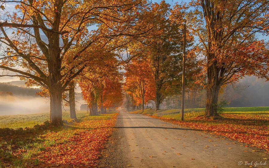 digi_kick's tweet photo. The magical colours of Autumn! Happy Monday, wishing you an awesome week. #DigitalInclusion #DigiKick #TnT #DigiExperts #1in5 https://t.co/6LEV13XxhF