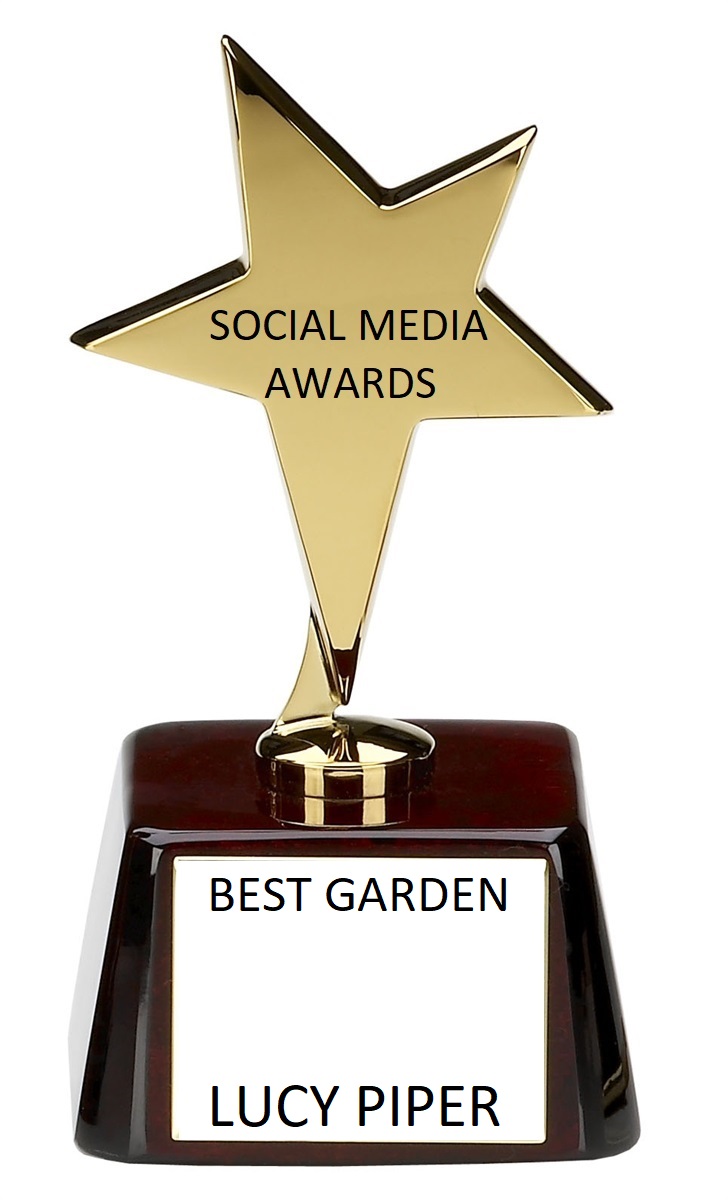 thomas jones tweet media