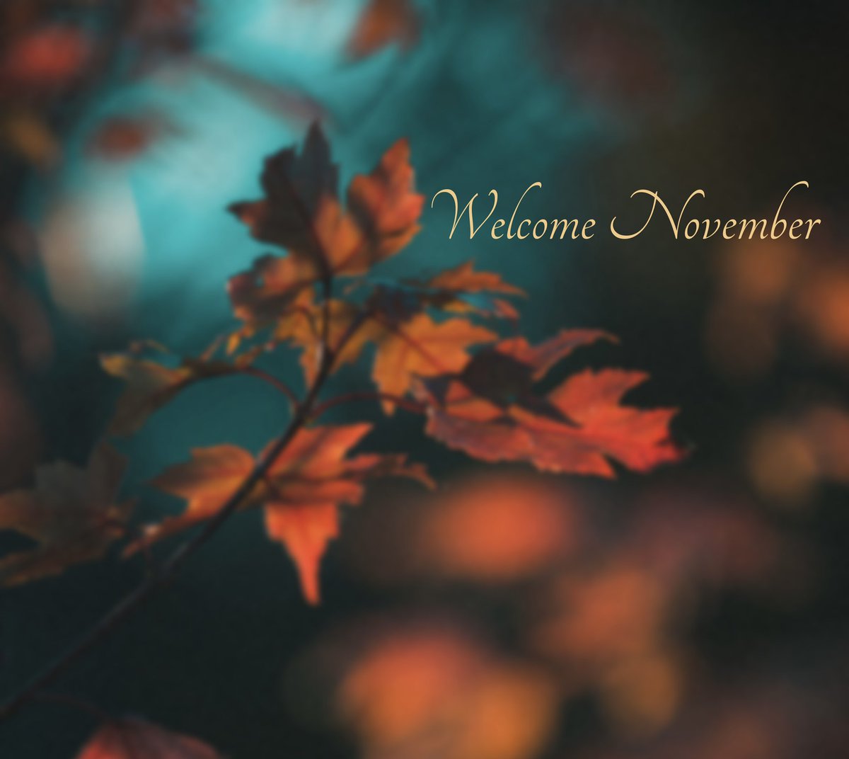 TedKelly45's tweet photo. Another new month to chase your heart’s desires!🍁🍂💛 https://t.co/PQgt76oY47