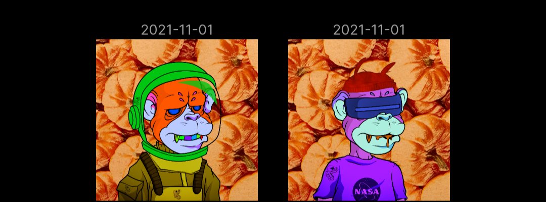 pralesni's tweet photo. @nemo13 #pumpkinsquad https://t.co/gmCF1KiKHB