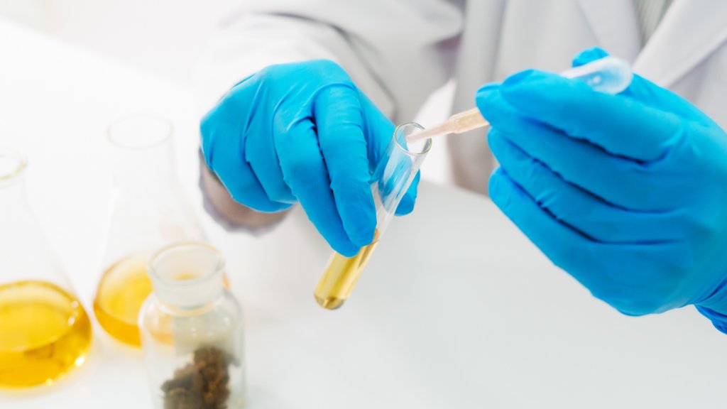 ⏭️Posicionamiento de la SED respecto a la utilización del Cannabis Medicinal en el tratamiento del dolor. sedolor.es/posicionamient…

#CannabisMedicinal 
#Dolor #pain #Cannabis
