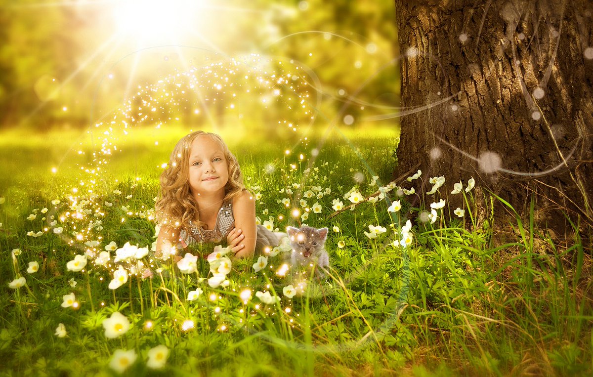 AndorasEnergy's tweet photo. "A person who chooses to love his or her enemies can have no enemies.  That person is left only with neighbors." - Preston Sprinkle
Bring Light Into Your Life With Andora's Healing Light!
https://t.co/pTXqvG974O https://t.co/eKQJzSjj5E