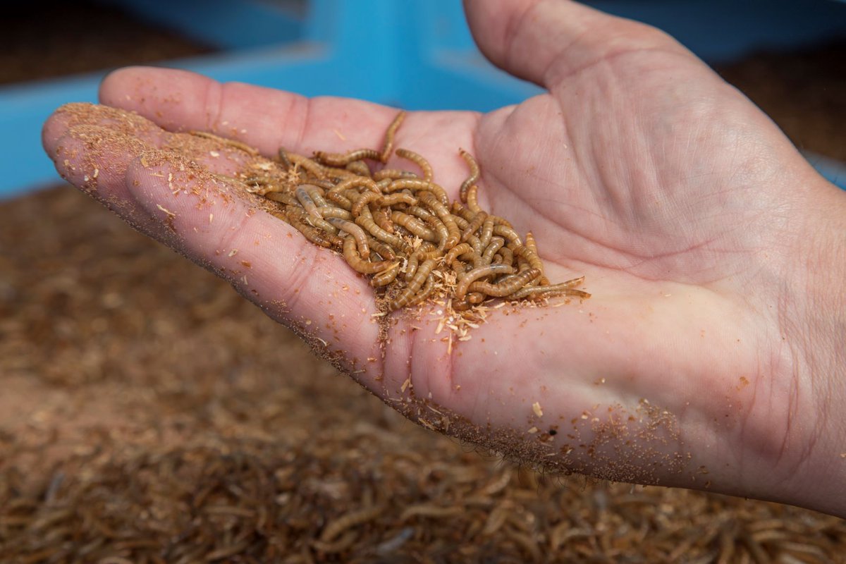 ICT Campus tweet media