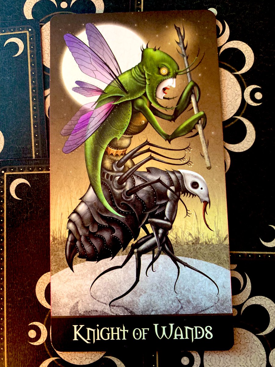 ElevatedBliss's tweet photo. Monday Vibes:
Embrace adventure, but do not abandon responsibilities. Be bold and express yourself, but be careful not to be arrogant or leave a trail of destruction in your wake. #knightofwands #tarot #DeviantMoon https://t.co/5edQWEJafr