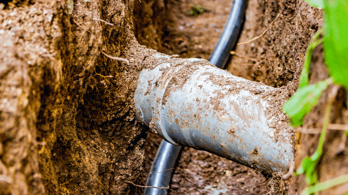 issonieuws's tweet image. ISSO-kleintje Riolering is laatst op enkele punten herzien. Lees verder voor meer informatie over het Kleintje en bekijk het op ISSO Open! over.isso.nl/nieuws/kleine-…

#riolering #vuilwater #hemelwater #ISSO