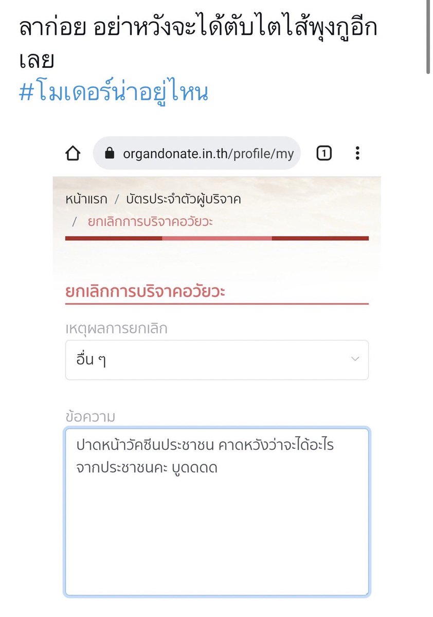 นสพ.คนนั้นอาศัยอยู่ในร้านกาแฟ tweet media