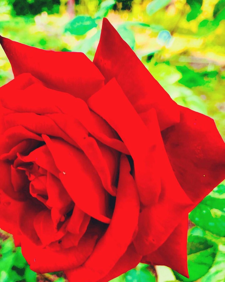 Lila_Hanley's tweet photo. Hay días en el calendario que nos hacen recordar a quienes ya no están , pero nuestro presente, nuestro día a día ; está marcado por lo q nos enseñaron y nos dieron, hoy miro al cielo de una forma más especial, pero nunca dejáis de estar en mí ❤❤❤ #DiaDeLosSantos #MisAngeles https://t.co/mFxe5xYBPW