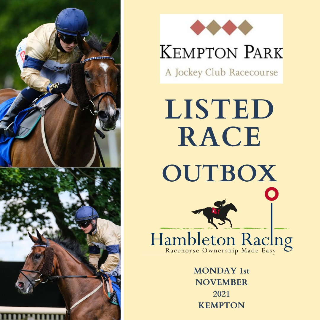 HambletonRacing's tweet image. We start the week with multiple winner Outbox heading to @kemptonparkrace to run in the Listed Floodlit Stakes for the @Archie_Watson team under the excellent @HollieDoyle1. Best of luck to all connections! #HambletonTeam #MondayMotivation #PatternRaces 🏇💛💙
