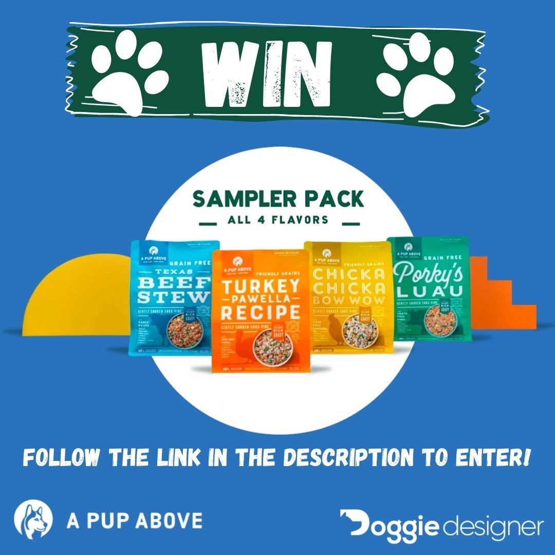 Last chance to #win a tasty sampler pack for your pup! 🐶🥳🥓

Entry page: gleam.io/CcRNd/win-a-ta…

#Giveaways #dogsoftwitter #Food #dogs