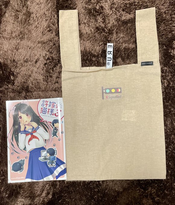 先月よりちょこちょこ言っておりましたグッズの一点目がついに届きました〜!前々から作りたかったエコバッグです!サイズはB5よりもかなり大きく、折り畳むとこんななコンパクトになります。しかしマチもあって大容量で5キロのお米も楽々入ります✨ 