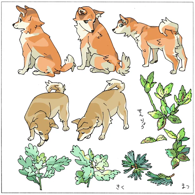 表情って顔だけじゃないんだなぁって、動物を見て思う今日この頃…🐶 
